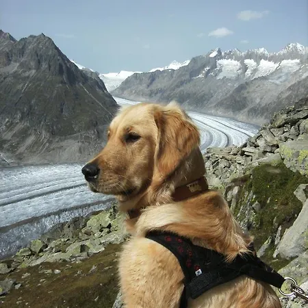 Апартаменты Aragon V149