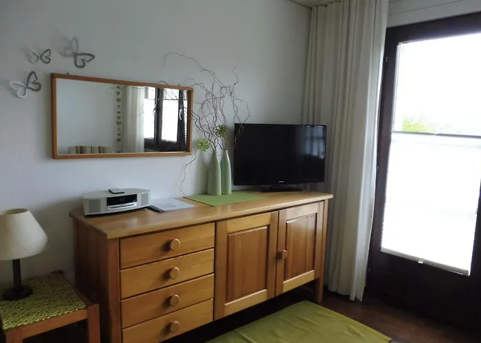 公寓 Aragon V149 Ernen